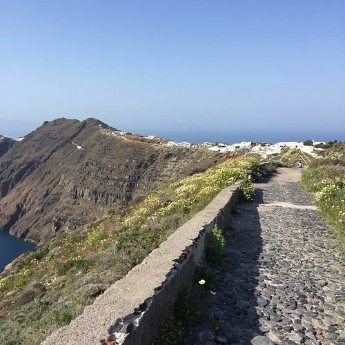 Ein gepflasterter Calderapfad entlang der Klippen von Santorin mit Wildblumen am Wegesrand