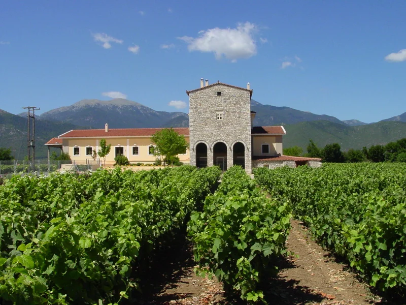 Ein steinernes Weingut inmitten von Weinbergen, dahinter Berge
